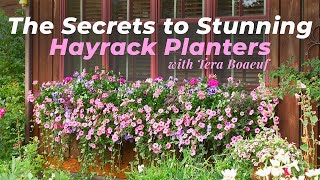 How To Plant Stunning Hayrack Planters [upl. by Cammy17]