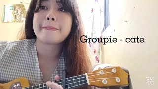 Groupie  cate  cover [upl. by Annovy]