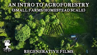 The Incredible Benefits of Agroforestry on Small Farms  Introduction to Agroforestry [upl. by Gainer193]