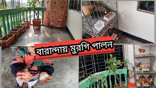 বারান্দায় মুরগি পালন🥰 শহুরে বাসায় বারান্দায় আমি যেভাবে মুরগি পালন করি😍🥰🐓 খাঁচায় মুরগি পালন 🐔 [upl. by Karlotte]