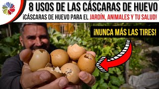 🥚 NUNCA MÁS TIRES las CÁSCARAS de HUEVO 🌱 LOS 8 MEJORES USOS de la CÁSCARA de HUEVO [upl. by Dukie]