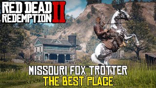 Missouri fox trotter the easiest and fastest way  RDR2 [upl. by Akilak113]