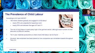 Remediating Child Labour Risks and Impacts Beyond Tier 1 [upl. by Benenson224]