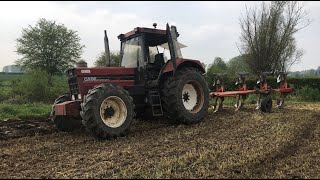 CASE IH 1255 XL INTERNATIONALE  LABOUR SEIGLE 2019 [upl. by Ariaes216]