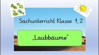 Sachunterricht Klasse 1 und 2 Laubbäume Homeschooling [upl. by Latrena]