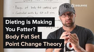 Dieting is Making You Fatter  Body Fat Set Point Change Theory [upl. by Weiser]