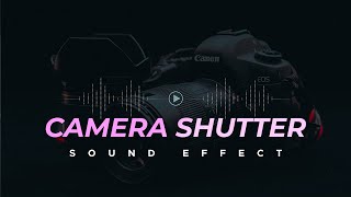 Camera Shutter Sound Effect [upl. by Vin]