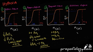 Hypoxia amp Blood Oxygen Content in 7 Minutes Physiology [upl. by Elrem660]