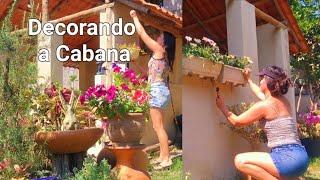 PLANTEI MAIS DE 10 TIPOS DE GAZANIASA CABANA FICANDO LINDA🥰 [upl. by Gil368]