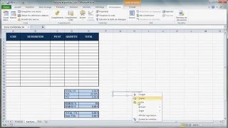 Excel 2010  Contrôles de formulaire [upl. by Arrek]