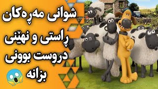 شوانی مەڕەکان، یەکەم دەرکەوتنی شۆکت دەکات😱ڕاستی و نهێنیەکانی بزانە😱Shoun the shep [upl. by Rez]