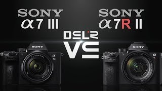 Sony alpha a7 III vs Sony alpha a7R II [upl. by Kcirb]