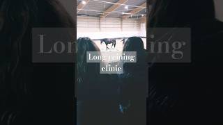 🐴 Long reining clinic [upl. by Rebmetpes864]