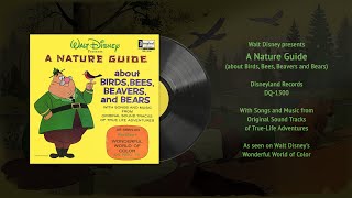 Walt Disneys A Nature Guide about Birds Bees Beavers amp Bears DQ1300  Vintage Disney Vinyl [upl. by Tami]