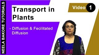 Transport in Plants  NEET  Diffusion amp Facilitated Diffusion  Neela Bakore Tutorials [upl. by Checani785]