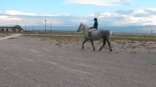 Working on Gravel [upl. by Clerc]