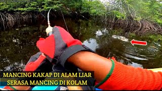 Feeding frenzy Strike ikan kakap asli rame kaya mancing di kolam  Black river borneo [upl. by Yr545]