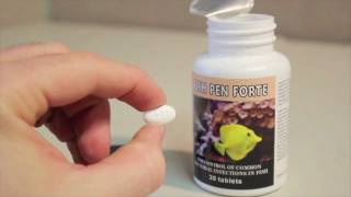 Fish Pen Forte Penicillin 500 mg Fish Antibiotic [upl. by Lucey]