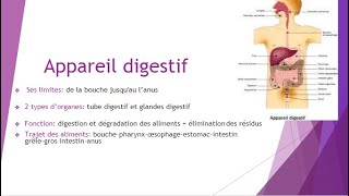 📍 Appareil digestif  Anatomie E9raberk [upl. by Plerre]