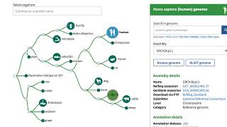 NCBIs Genome Data Viewer  Getting Started [upl. by Resiak]