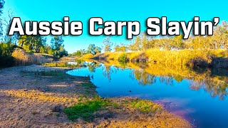 Battling With Invasives In Australian Freshwater River [upl. by Attenahs343]