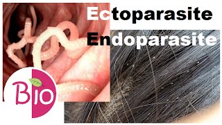 Difference in Ectoparasite and Endoparasite by Simply The Best BIO [upl. by Eecyak339]