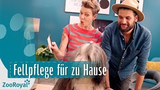 Fellpflege  Deinen Hund richtig bürsten mit Franziska Knabenreich  Rund um den Hund  ZooRoyal [upl. by Ennasor]