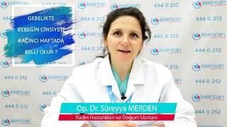 Çocuğun Cinsiyeti Kaçıncı Hafta Belli Olur  Op Dr Süreyya Merden [upl. by Bickart448]