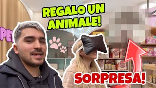 REGALO UN ANIMALE A SARA  SORPRESA [upl. by Arob]