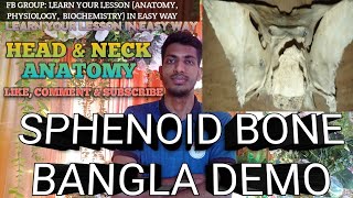 Sphenoid Bone Anatomy In Bangla  Head amp Neck   Anatomy  anatomy bones [upl. by Esinyt251]