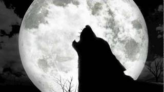 Wolves Howling At The Moon [upl. by God]