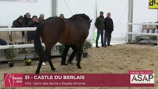 Lot 51  Castle Du Berlais  Salon des Etalons 2024 [upl. by Cissiee]