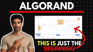 Algorand Latest News Today Technical Analysis amp Algorand Price Prediction 20242025 [upl. by Oicnerual]