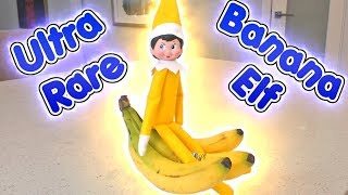 Ultra RARE Yellow Elf on the Shelf is the Banana Elf  DavidsTV [upl. by Lleuqram]