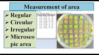 How to calculate the area of circle irregular square images [upl. by Rehm]