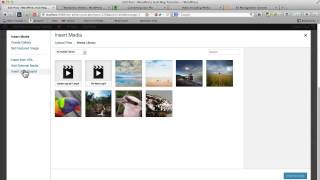 How to Add Video To WordPress Using JW Player Part 2 [upl. by Arde]