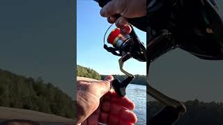 ⚡ ZipBaits Orbit THE BEST⚡ fishing FISHING CLOWN риболовля [upl. by Cecilia]