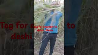 Share ki chhori mere lele ram ram youtube short video viral video trending video ranjeet [upl. by Friday]