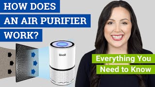 How Does an Air Purifier Work Do Air Cleaners Really Work to Remove Dust Mold and Allergens [upl. by Naitsabes]