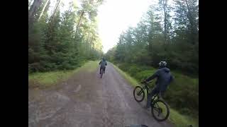 Simple red trail ￼at hamsterley forest REALLY FUN [upl. by Niarfe]