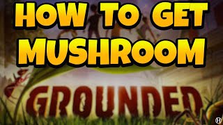 How to Get Mushroom Slurry in Grounded Very Easy [upl. by Batchelor]