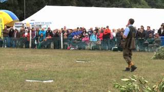 Misselchalke Gundog Display [upl. by Ocnarfnaig]