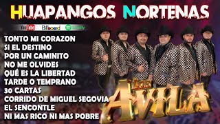 LOS AVILA 🍺 Mix Exitos 2024 🤠🤠🤠 Puras Norteñas Pa Pistear Mix [upl. by Mozelle]