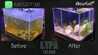 planted aquarium setup in teluguno CO2 no ferts no aqua soilDirted planted aquarium [upl. by Dorkas]