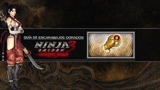 Ninja Gaiden 3 RE Guía de Escarabajos Dorados [upl. by Wollis566]