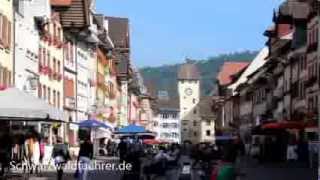 Waldshut am Hochrhein [upl. by Nwahsan]