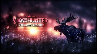 Lintukoto Reserve DLC All about the 270  Way of the Hunter LIVE 080224 [upl. by Burnham]