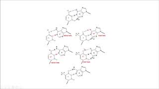 tautómeros tautomers replicación replication DNA structure estructura molecular biology biología [upl. by Kevon]