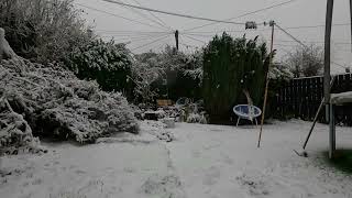 Snowy back garden time lapse [upl. by Sadella]