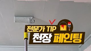 페인트 칠 Basic 전문가처럼 천장 페인트 칠하기 [upl. by Bouley508]